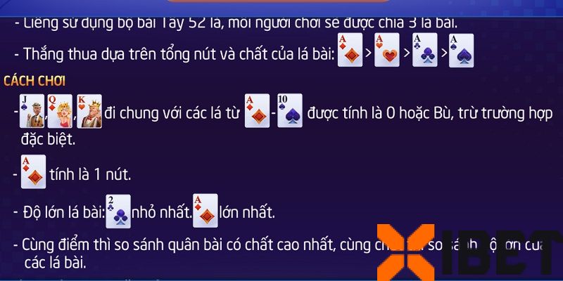 Các lựa chọn trong vòng cược