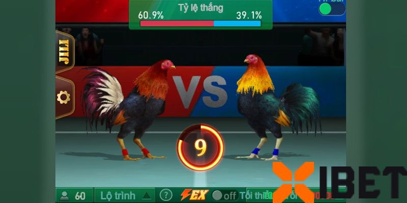 Các sảnh cược đá gà độc đáo tại JILI Xibet