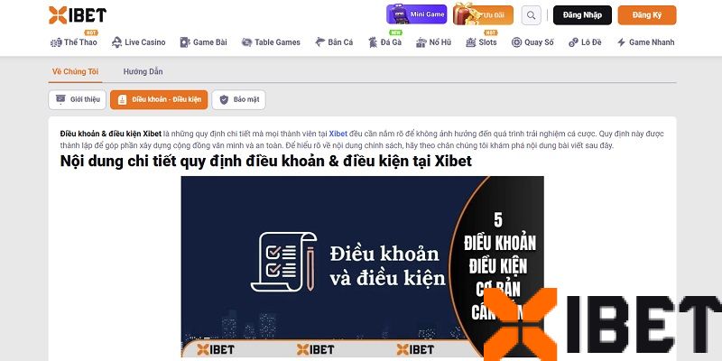 Giới thiệu trang điều khoản và điều kiện Xibet