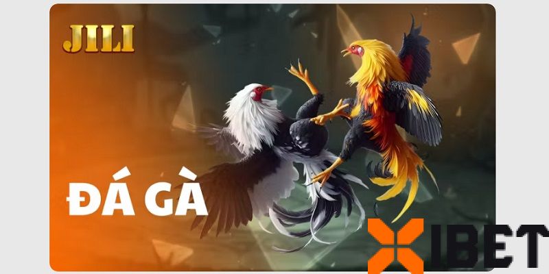 Sảnh JILI tại Xibet – Đá gà phong cách mới